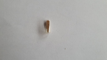 Feenkrebse Pure Egg